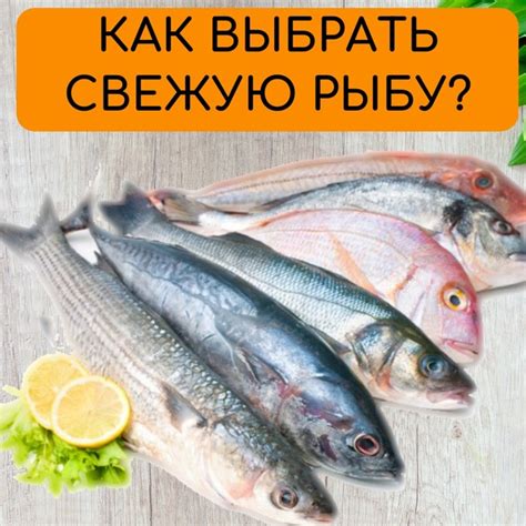 Порядок привыкания к новым вкусам