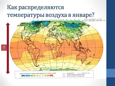 Последствия изменения температур на лесную биосистему