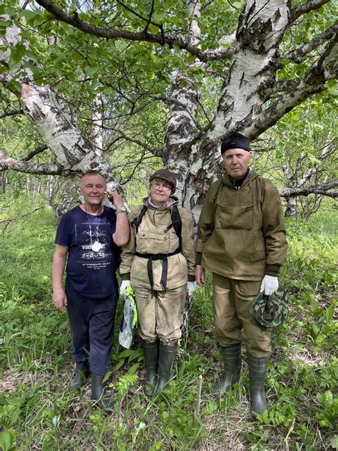 Потенциал исследования ареала карельской березы в Карелии