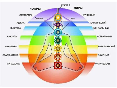 Поток жизненной энергии внутри второй чакры: основы и методы развития