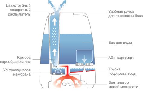 Правила использования инновационного устройства для поддержания оптимальной влажности в помещении