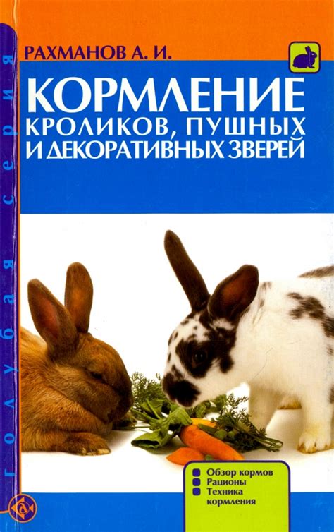 Правила кормления декоративных кроликов кинзой: важные моменты