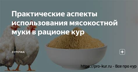 Правила применения зерна из полной кукурузы при рационе кур