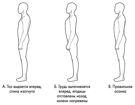 Правильная позиция и положение оправы