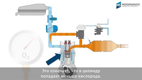 Правильное обслуживание системы рециркуляции отработанных газов