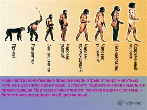 Правильное осмысление и поддержка отношений в различных этапах эволюции