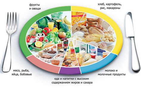 Правильное питание при сахарном диабете: основные принципы