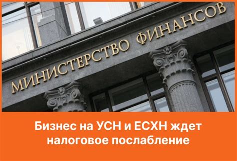 Правовые аспекты оплаты НДС организацией ООО на УСН: что говорит налоговое законодательство?