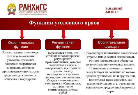 Практика применения законодательства: примеры судебных решений