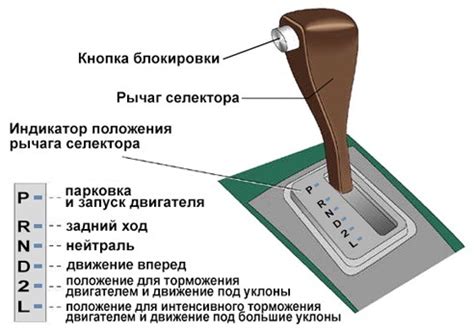 Практические рекомендации по обнаружению щупа автоматической коробки передач в автомобиле Focus 2