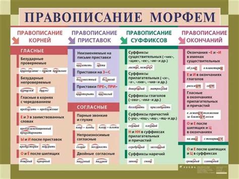 Практические рекомендации по правильному написанию слова "товарищ"