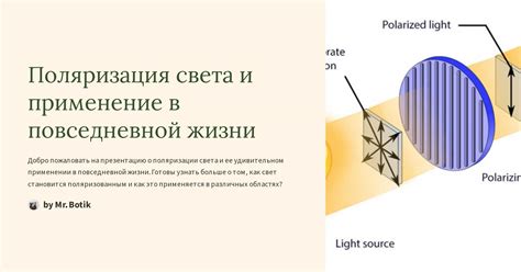 Практическое применение: значение знания о сторонах света в повседневной жизни