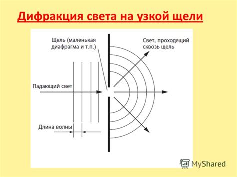 Практическое применение открытия тайны хвоста животного и узкой щели