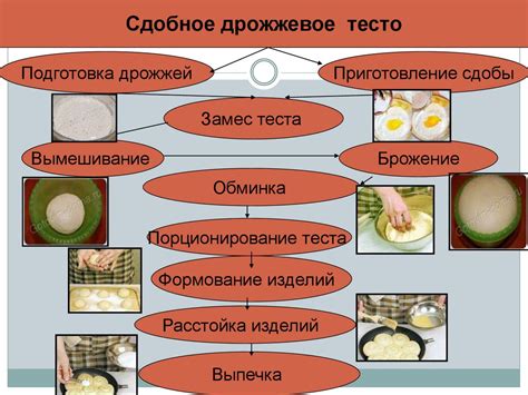 Превосходные тайны приготовления дрожжевого теста в холодильнике на весь ночной период