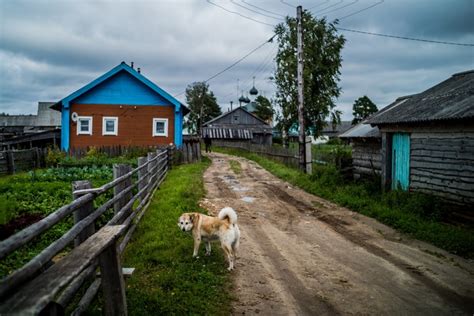 Преимущества жизни в деревне