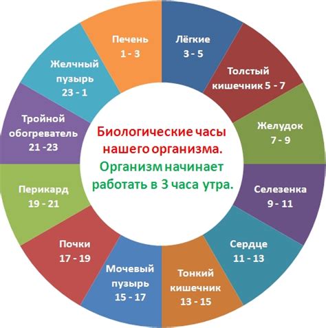 Преимущества зимнего часового пояса для благополучия организма и обеспечения безопасности