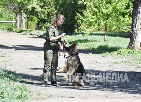 Преимущества изучения кинологии в столице Татарстана