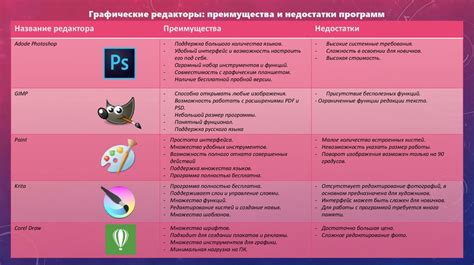 Преимущества и недостатки долгосрочных загранпаспортов