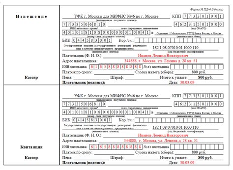 Преимущества предварительной оплаты госпошлины для получения загранпаспорта