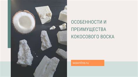 Преимущества применения кокосового продукта для волосяного покрова