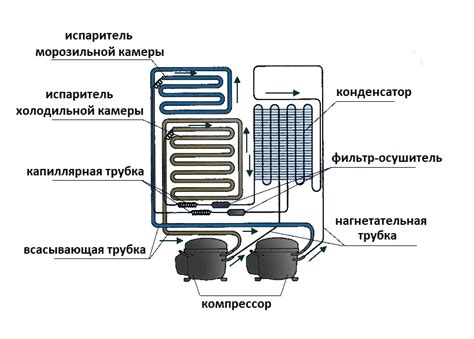 Преимущества размещения холодильного агрегата внизу холодильника