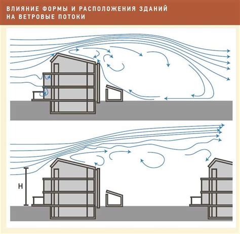 Преобладание зайцев в холодных климатических зонах