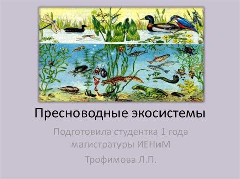 Пресноводные экосистемы: места обитания водных организмов, приспособленных к окисления стены