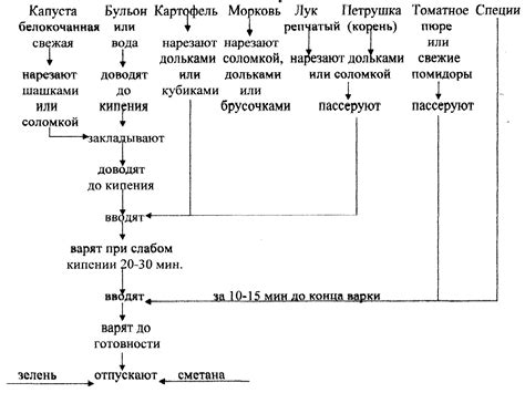 Приготовление щей: указания для каждого этапа приготовления