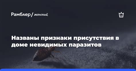 Признаки присутствия вредителя в жилище