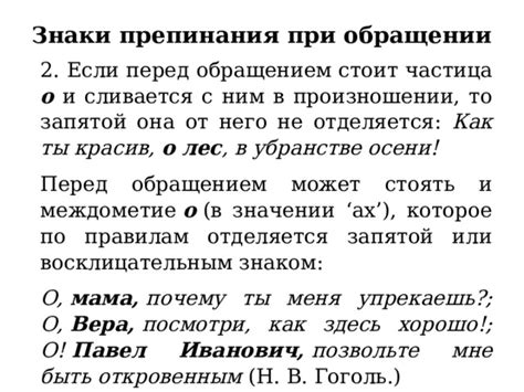 Применение запятой перед обращением: моменты, когда она необходима и причины ее использования