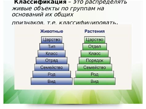 Применение сравнительного метода для классификации различных организмов