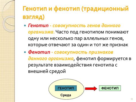 Примеры вариантности генов и их влияние на генотип человека