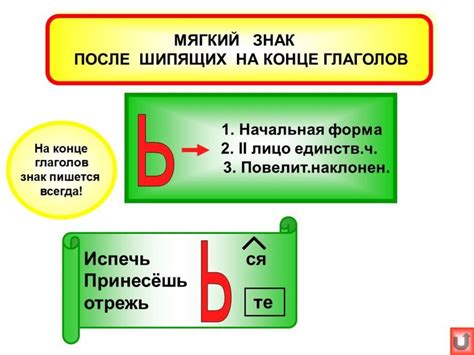 Примеры некорректного применения знака "ь" в слове "багаж"