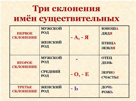 Примеры определения универсальных имён существительных