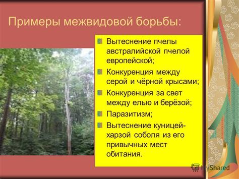 Примеры разнообразных мест обитания особей с генетическими отклонениями