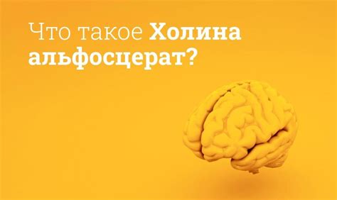 Принципы воздействия и действия холина