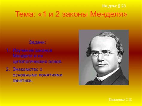 Принципы законов Менделя и их проявление: взгляд изнутри на наследование признаков