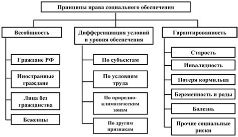 Принципы обеспечения гарантированного реализации возможностей в соответствии с законом