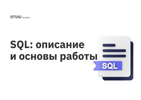 Принципы работы в консоли SQL: основы работы и ключевые принципы