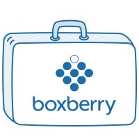 Принципы работы популярного сервиса доставки BoxBerry