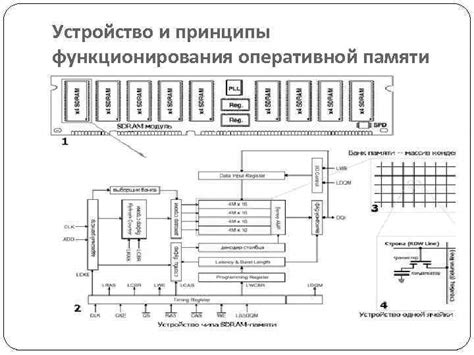 Принципы функционирования оперативной памяти и процессора