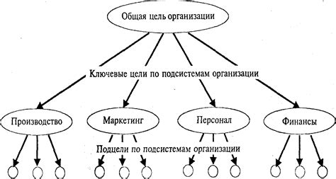 Принцип и назначение патернитета и его целей