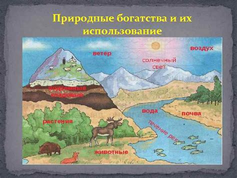 Природные богатства Куршевеля: от морского массива до уютного курорта