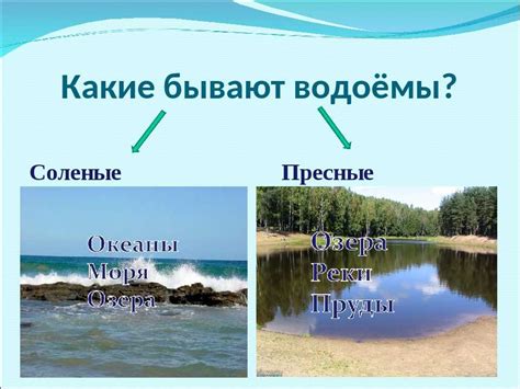 Природные водоемы и места с пресной водой