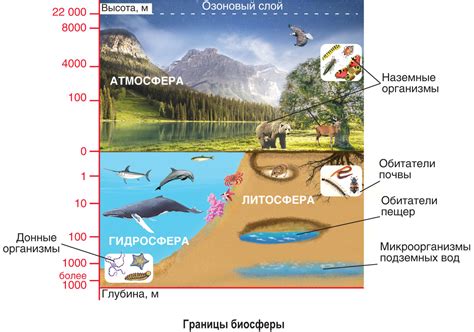 Природные и атмосферные особенности встречи границы небес и земли