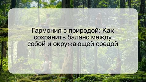 Природные трассы: гармония с окружающей средой и активный отдых