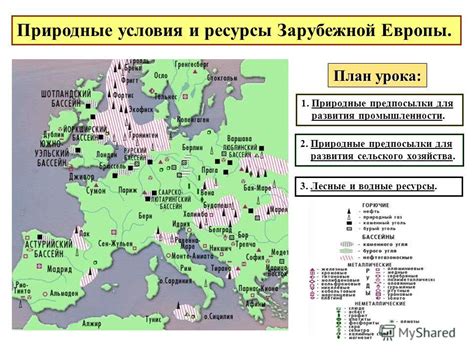 Природные условия для развития фундука: отбор и адаптация