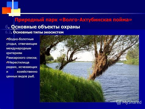 Природный парк "Голубиное озеро": экзотическое сочетание водного угодья и редких синих кедров
