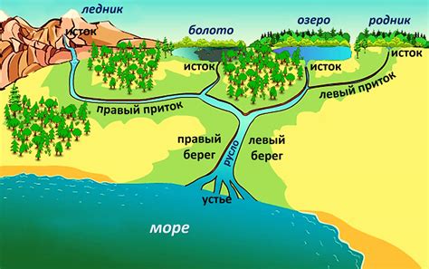 Притоки и истоки реки Протока: сеть водных потоков и источники пополнения