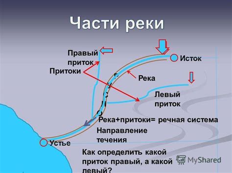 Притоки реки Ханымей: скрытые уголки, где обитают крупные экземпляры рыбы